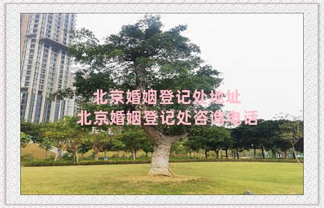 北京婚姻登记处地址 北京婚姻登记处咨询电话